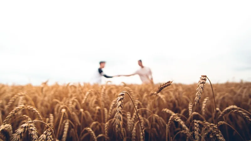 Сезонни работници в земеделието